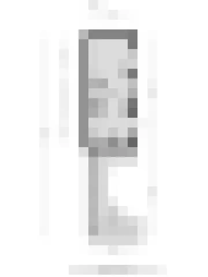 Dorus Rijkersstraat 1 Dinteloord thumbnail 50