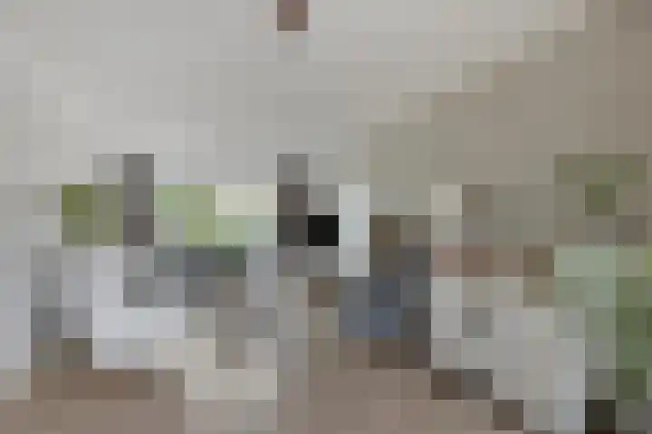 Dorus Rijkersstraat 1 Dinteloord thumbnail 6