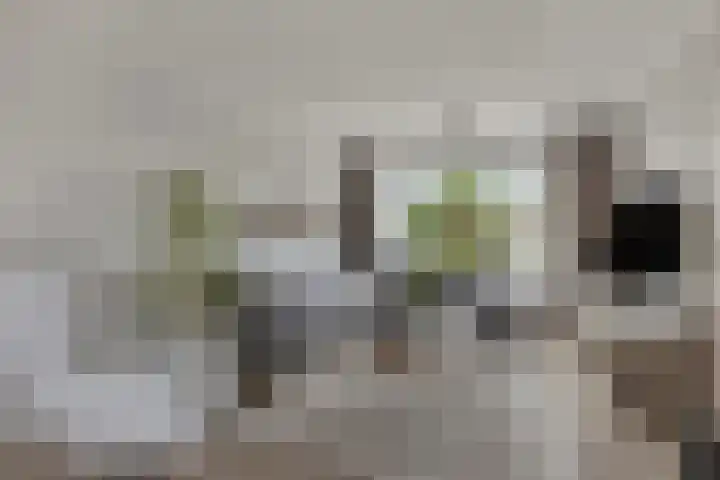 Dorus Rijkersstraat 1 Dinteloord thumbnail 7