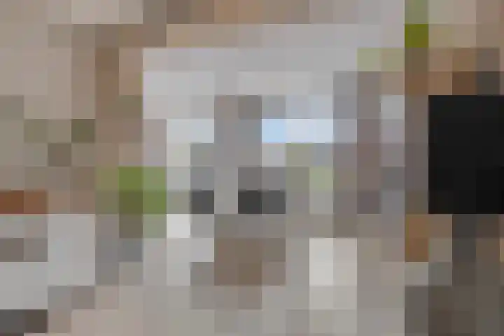 Dorus Rijkersstraat 1 Dinteloord thumbnail 8