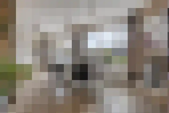 Dorus Rijkersstraat 1 Dinteloord thumbnail 9