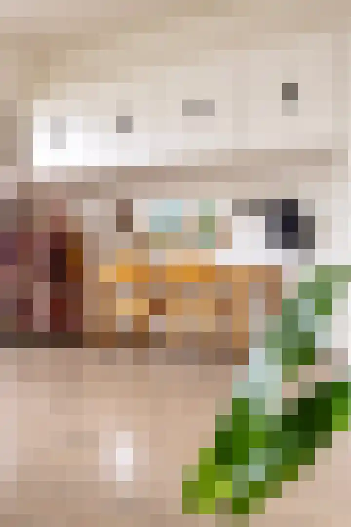 Dorus Rijkersstraat 15 Borne thumbnail 11