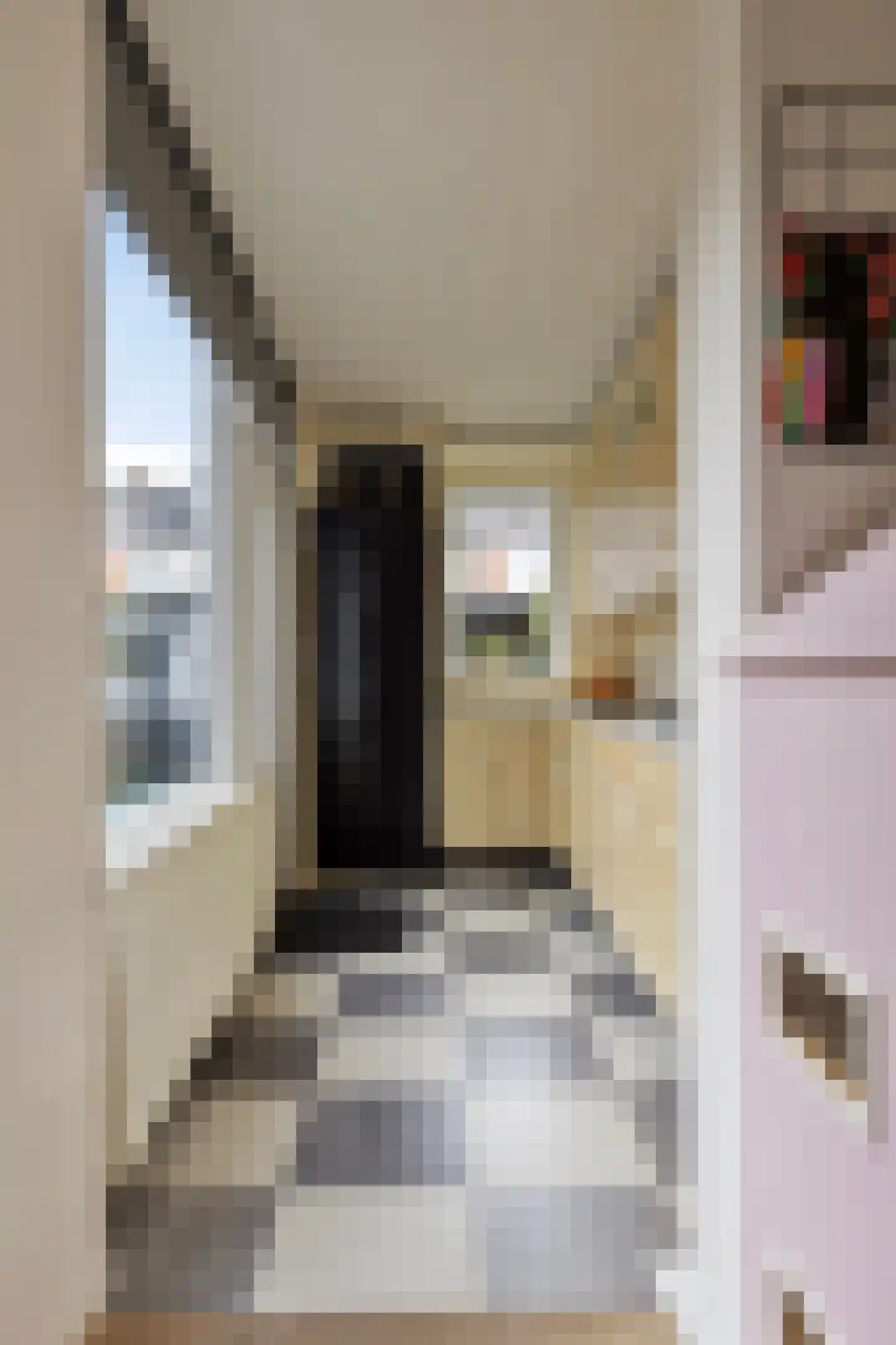 Dorus Rijkersstraat 15 Borne thumbnail 12