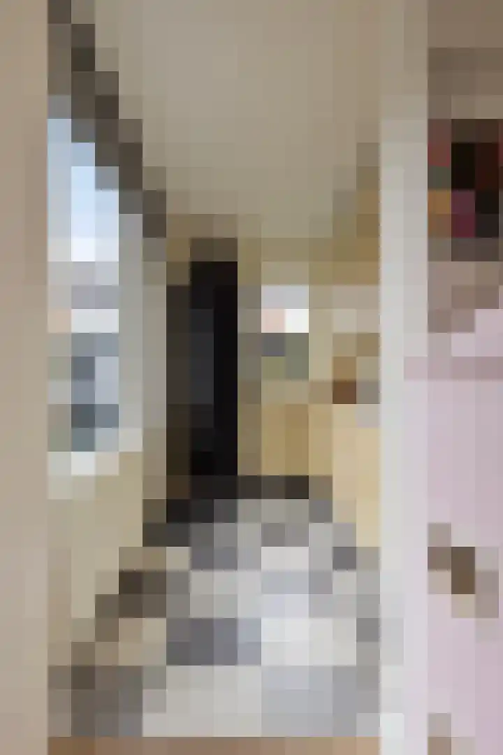 Dorus Rijkersstraat 15 Borne thumbnail 12