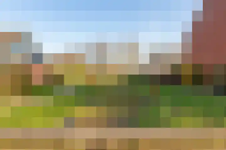 Dorus Rijkersstraat 15 Borne thumbnail 23