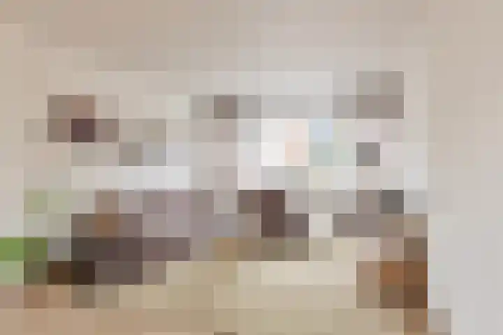 Dorus Rijkersstraat 15 Borne thumbnail 8