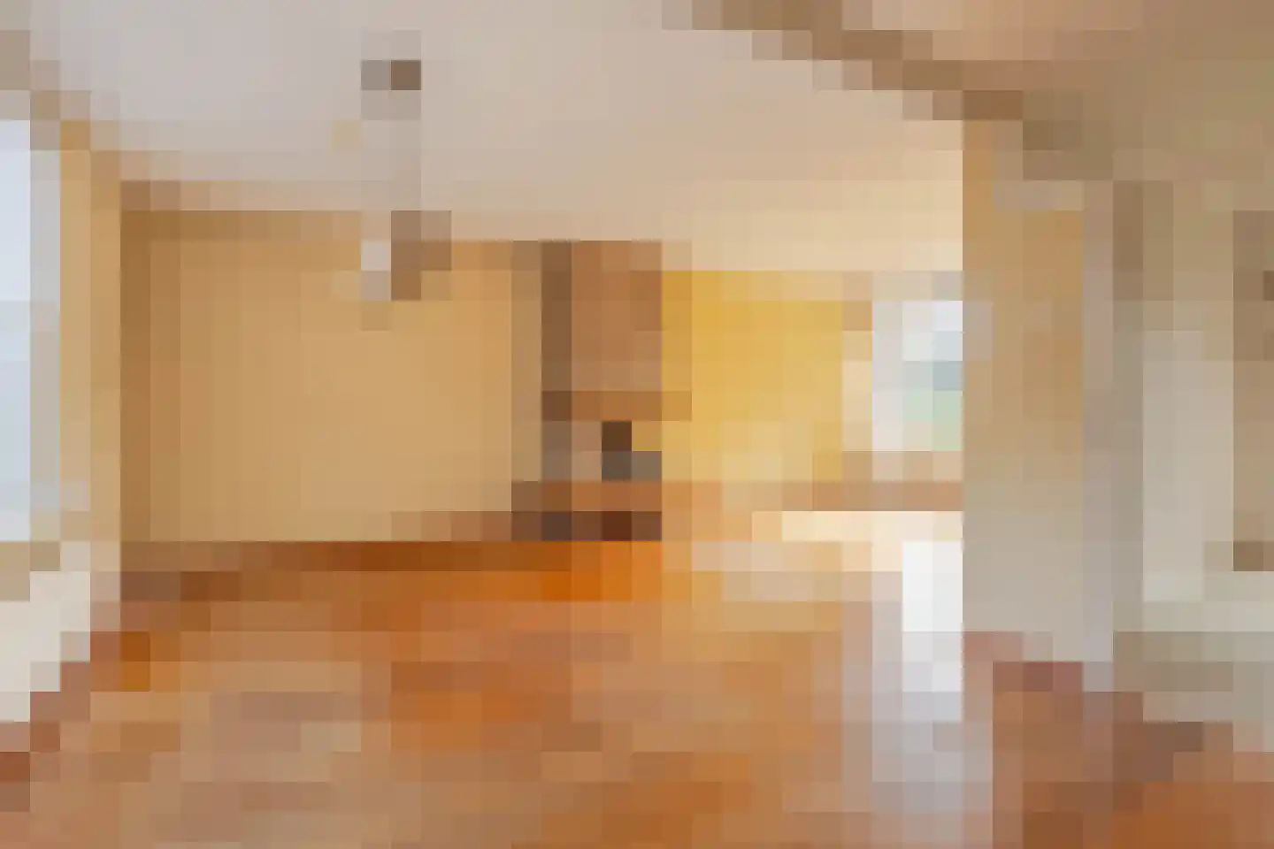 Dorus Rijkersstraat 17 Dinteloord thumbnail 12