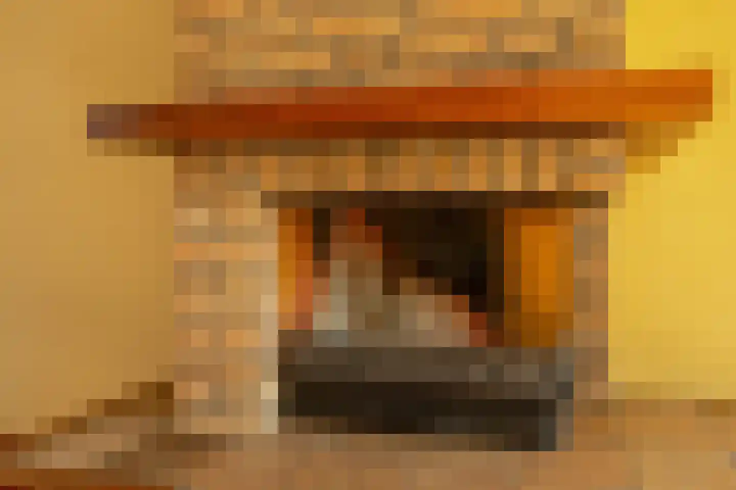Dorus Rijkersstraat 17 Dinteloord thumbnail 13