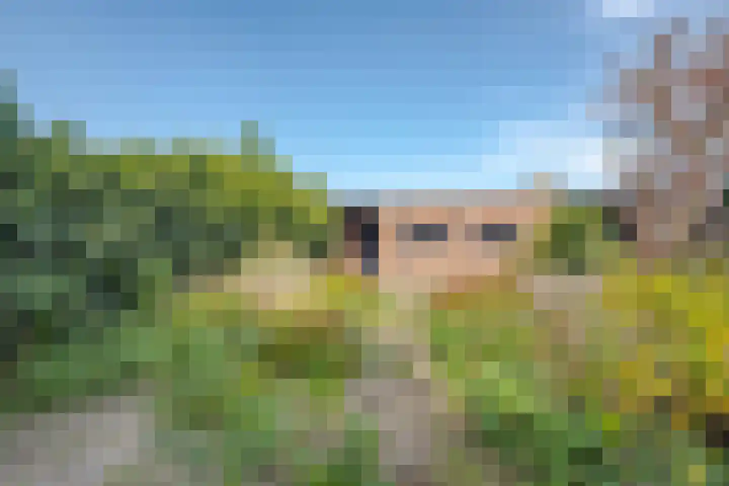 Dorus Rijkersstraat 17 Dinteloord thumbnail 18