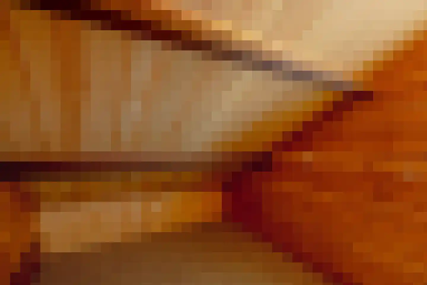 Dorus Rijkersstraat 17 Dinteloord thumbnail 29