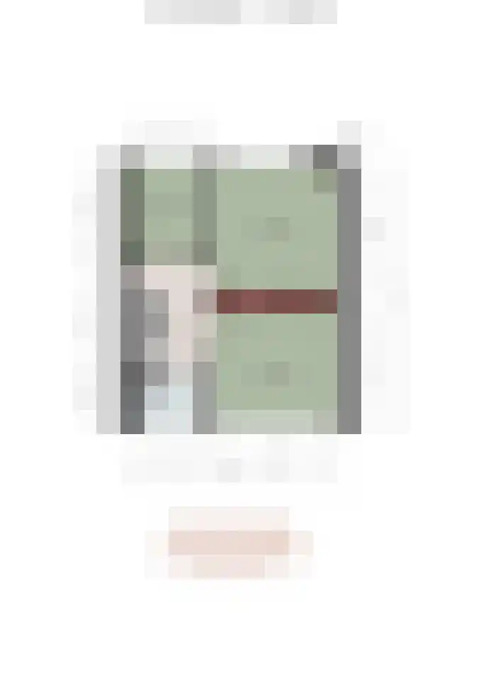 Dorus Rijkersstraat 17 Dinteloord thumbnail 34