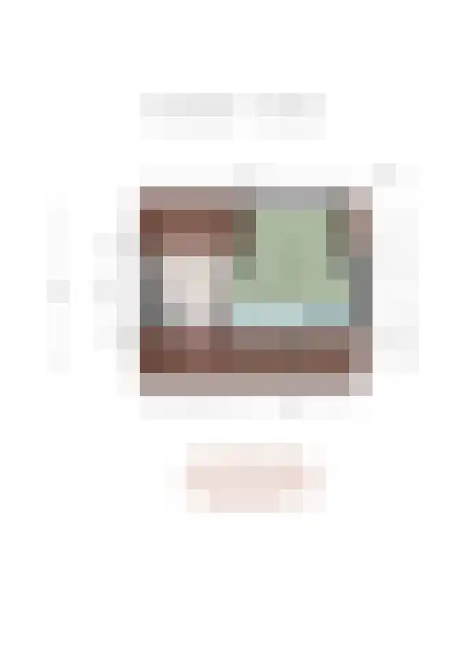 Dorus Rijkersstraat 17 Dinteloord thumbnail 35
