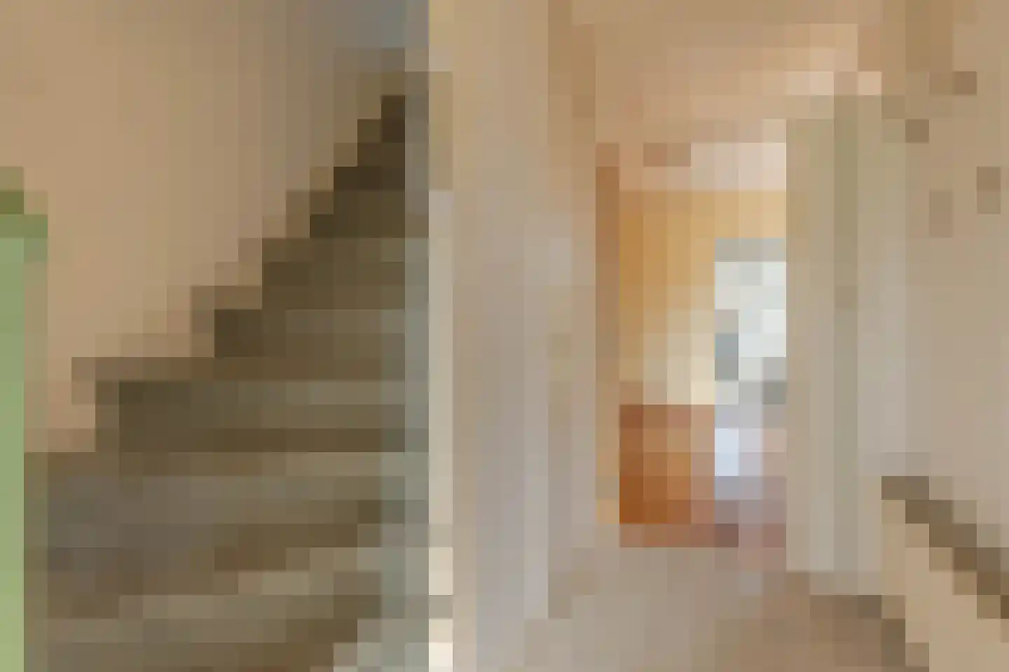 Dorus Rijkersstraat 17 Dinteloord thumbnail 9