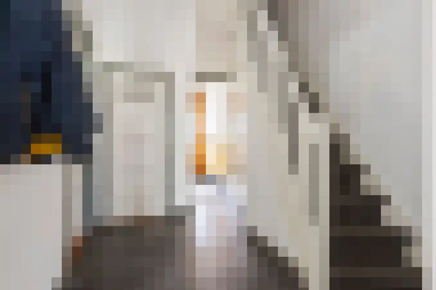 Dorus Rijkersstraat 3 Groningen thumbnail 11