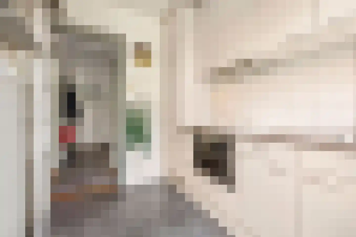 Dorus Rijkersstraat 3 Groningen thumbnail 22