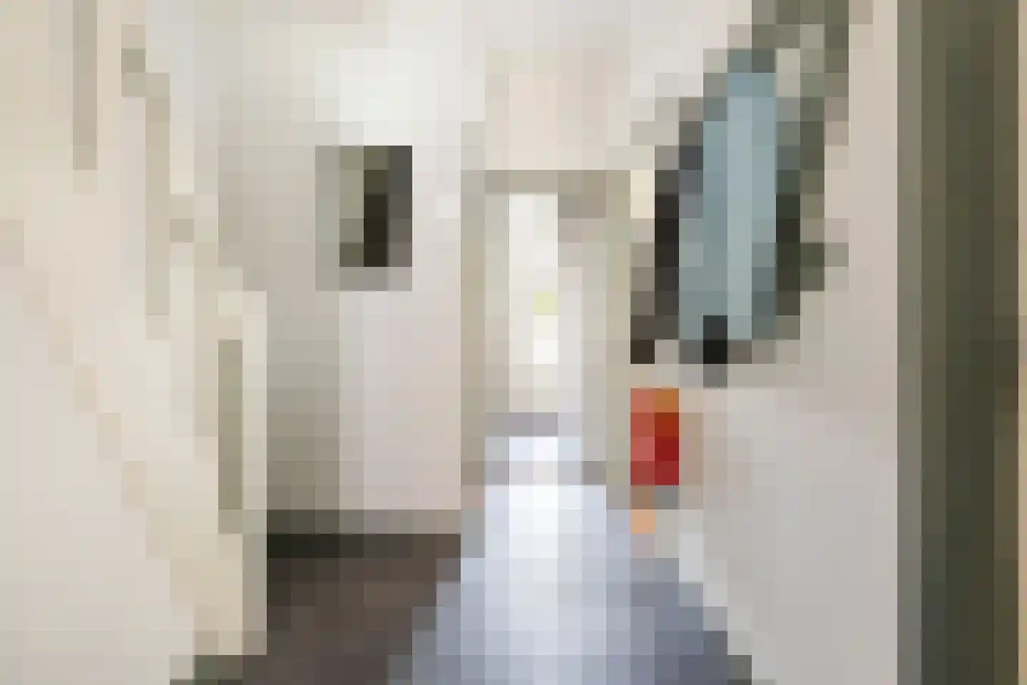 Dorus Rijkersstraat 3 Groningen thumbnail 23