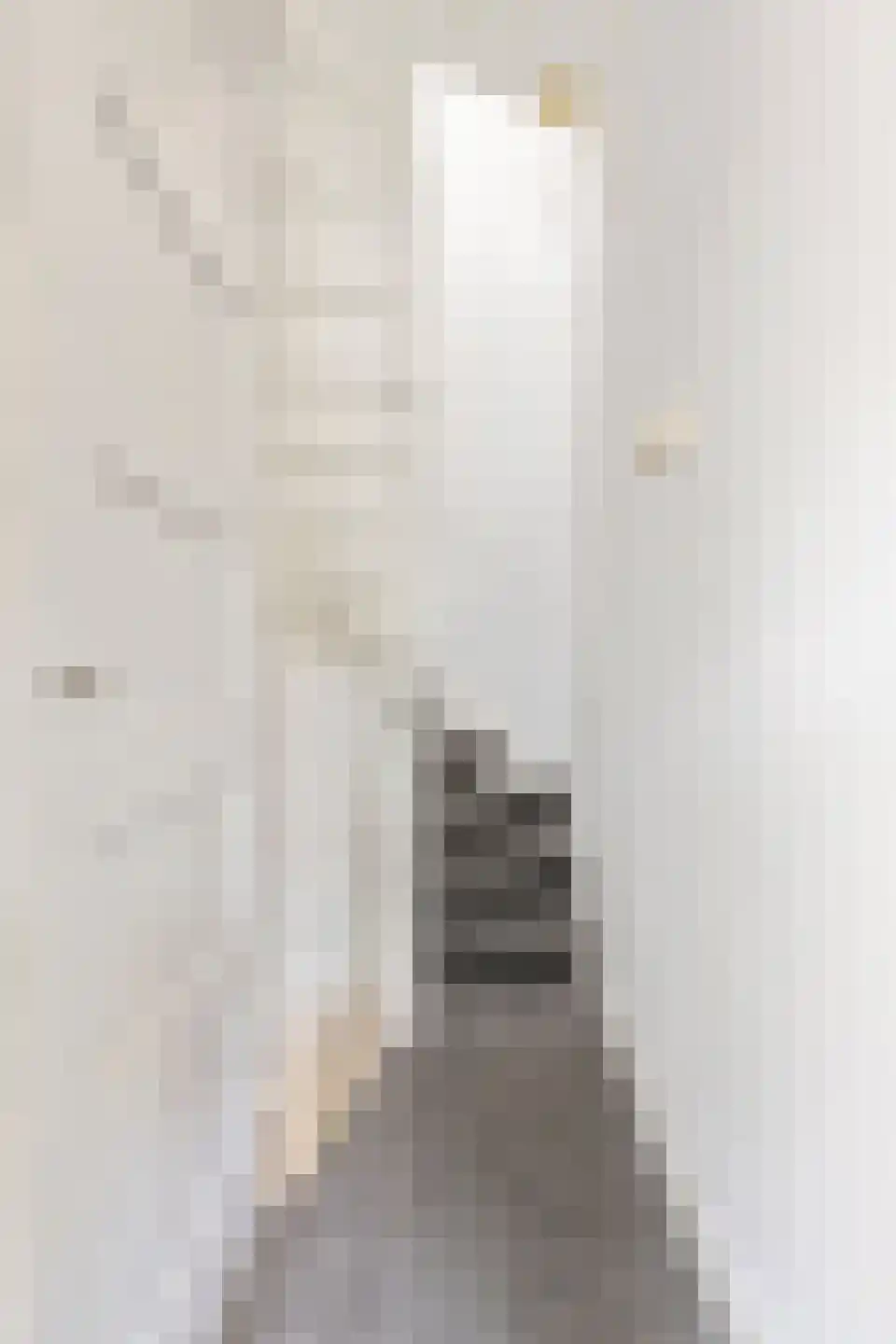 Dorus Rijkersstraat 3 Groningen thumbnail 25
