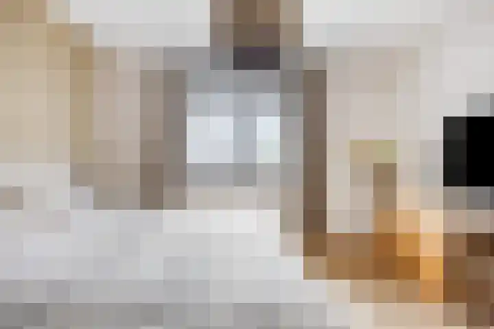 Dorus Rijkersstraat 3 Lisse thumbnail 13