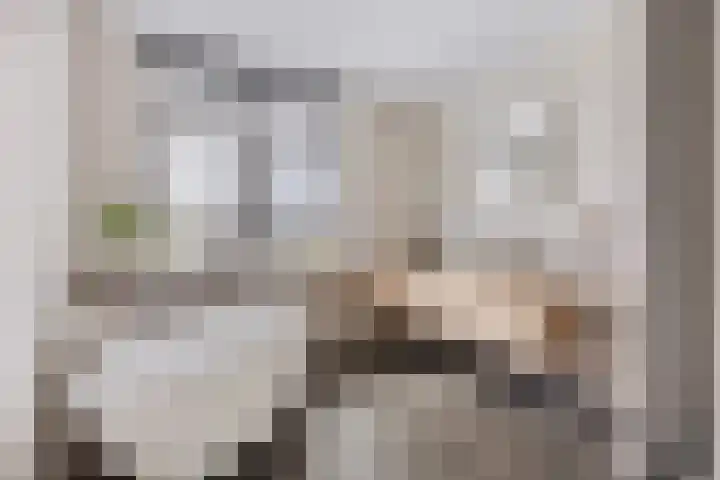 Dorus Rijkersstraat 3 Lisse thumbnail 19