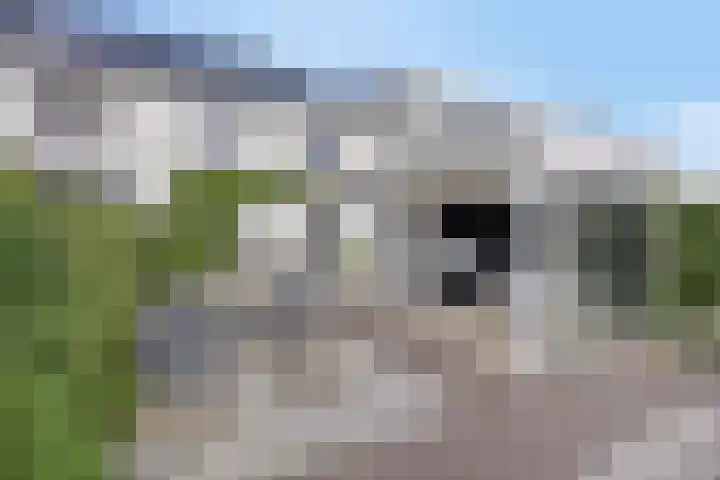 Dorus Rijkersstraat 3 Lisse thumbnail 25