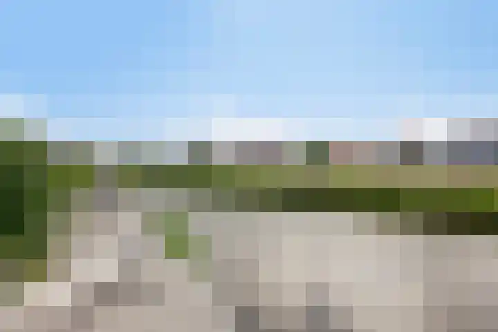 Dorus Rijkersstraat 3 Lisse thumbnail 28