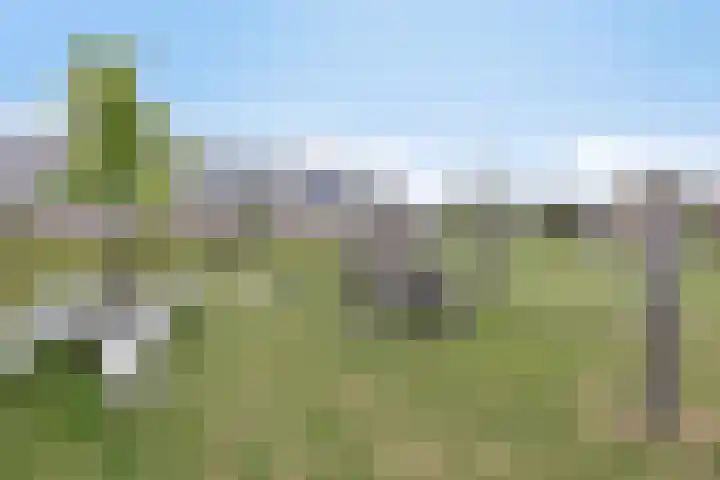 Dorus Rijkersstraat 3 Lisse thumbnail 29