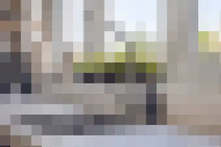 Dorus Rijkersstraat 3 Lisse thumbnail 4