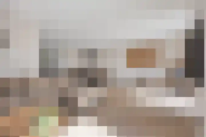 Dorus Rijkersstraat 3 Lisse thumbnail 7