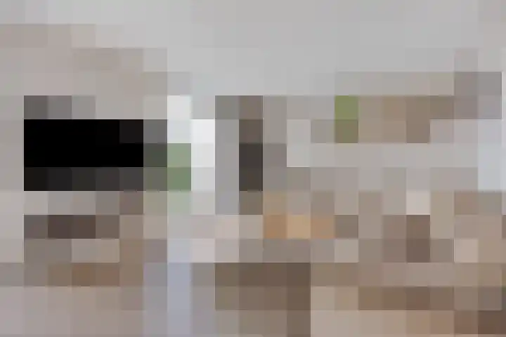 Dorus Rijkersstraat 3 Lisse thumbnail 8