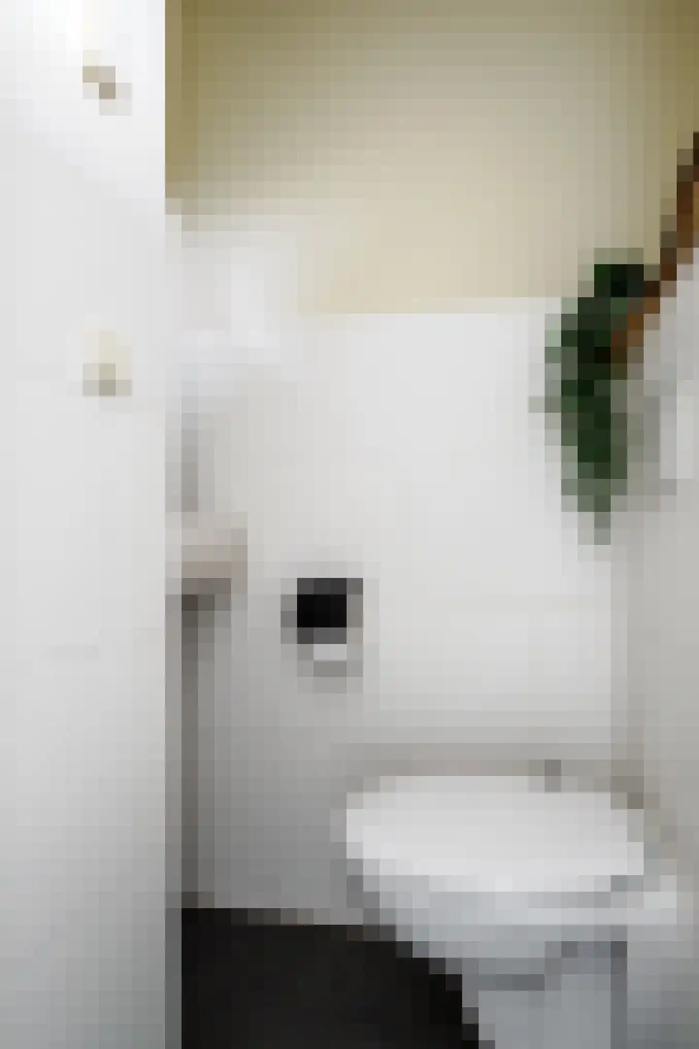 Dorus Rijkersstraat 37 Borne thumbnail 13