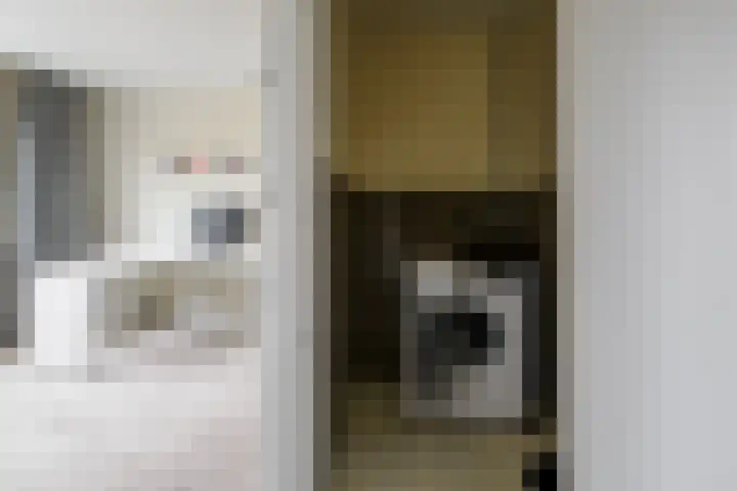 Dorus Rijkersstraat 37 Borne thumbnail 21