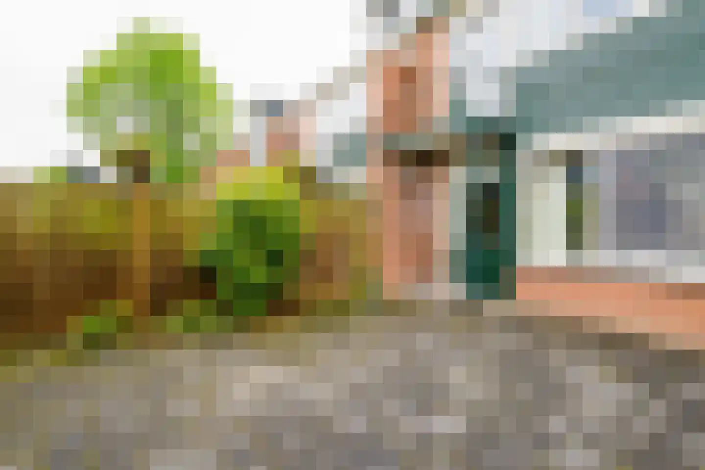 Dorus Rijkersstraat 37 Borne thumbnail 27