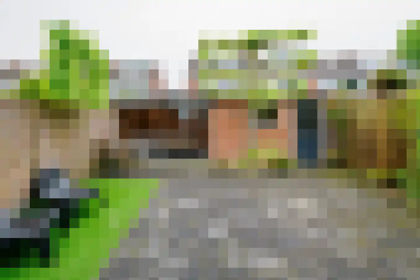 Dorus Rijkersstraat 37 Borne thumbnail 28