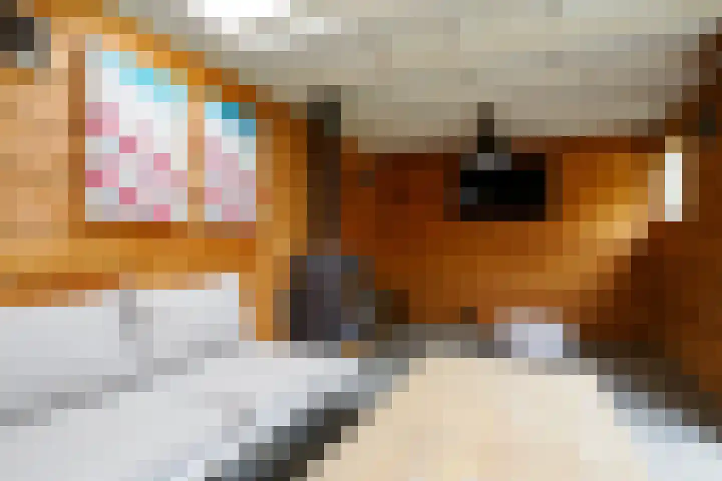 Dorus Rijkersstraat 37 Borne thumbnail 29