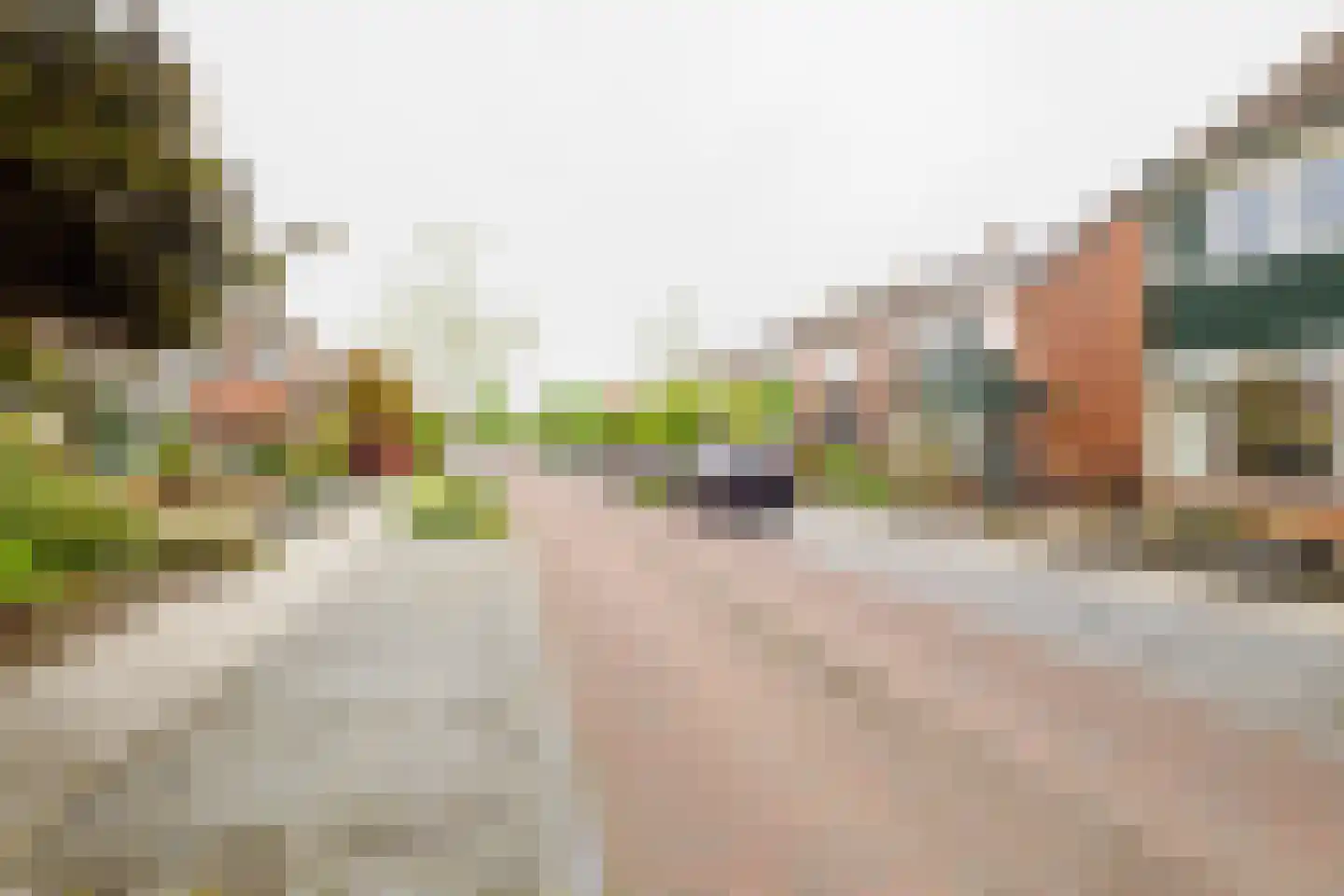 Dorus Rijkersstraat 37 Borne thumbnail 32