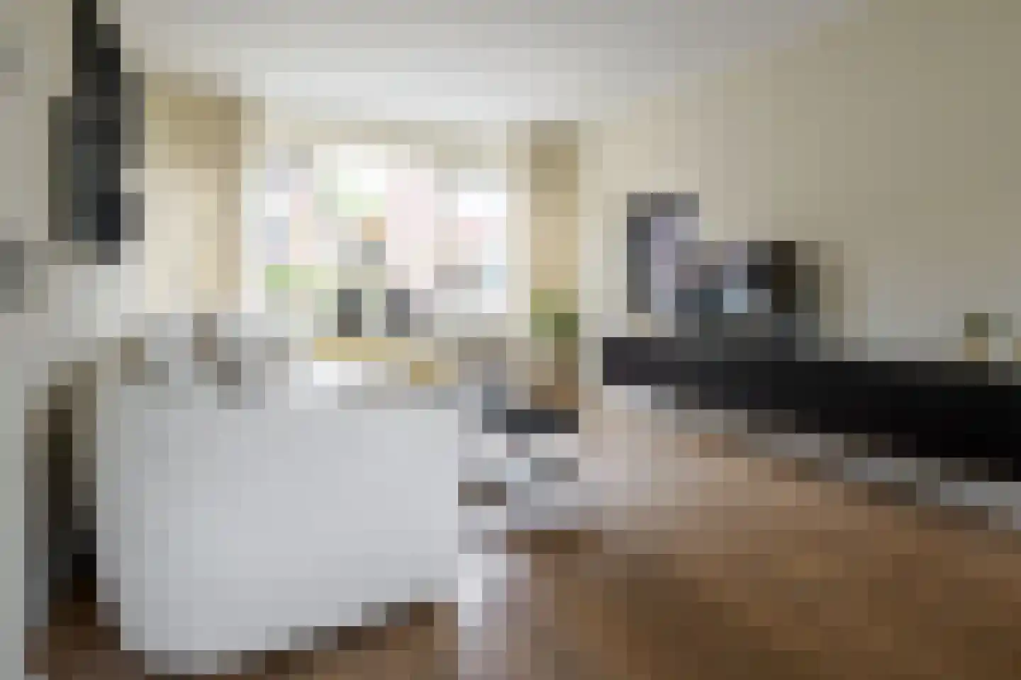 Dorus Rijkersstraat 37 Borne thumbnail 4