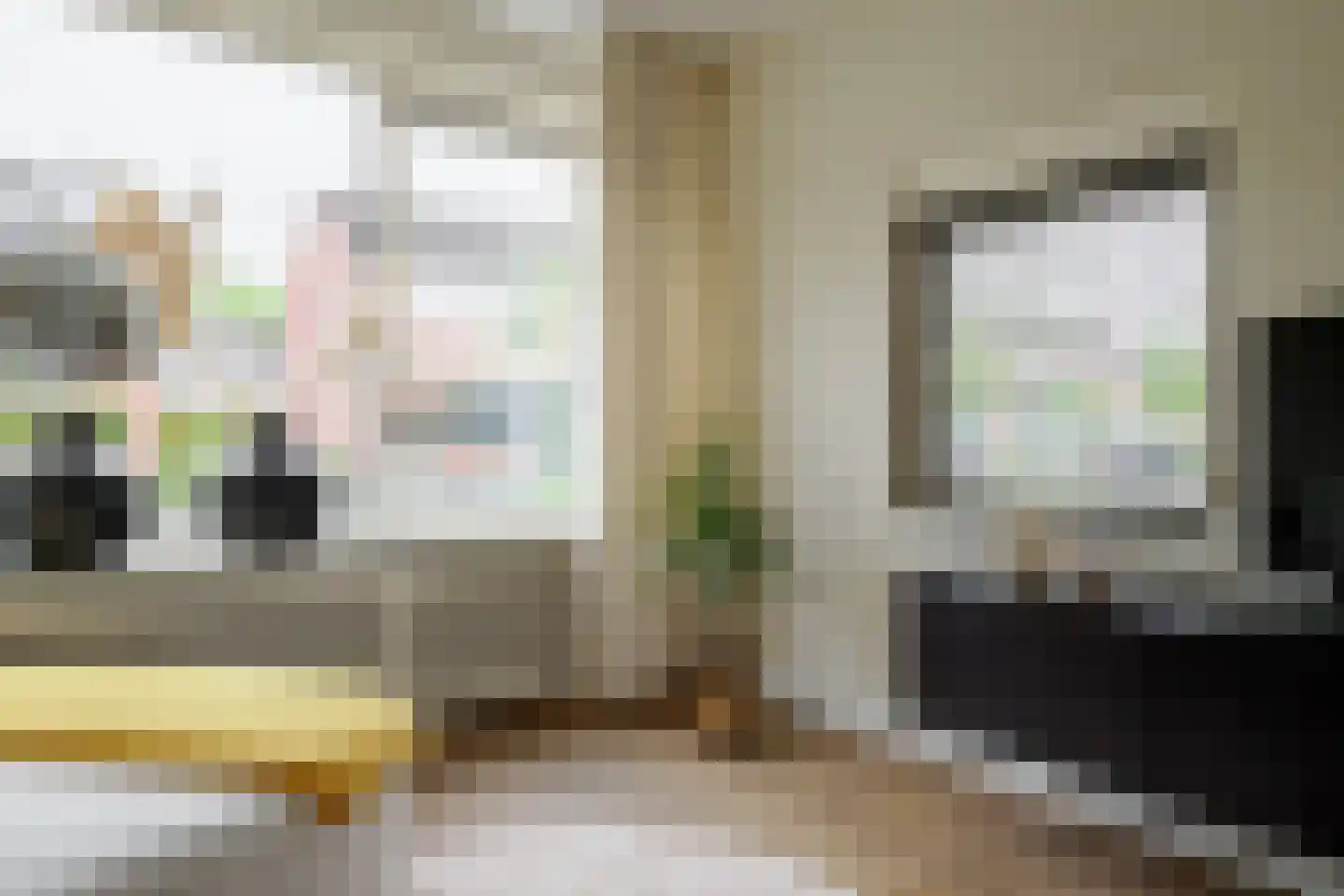 Dorus Rijkersstraat 37 Borne thumbnail 6