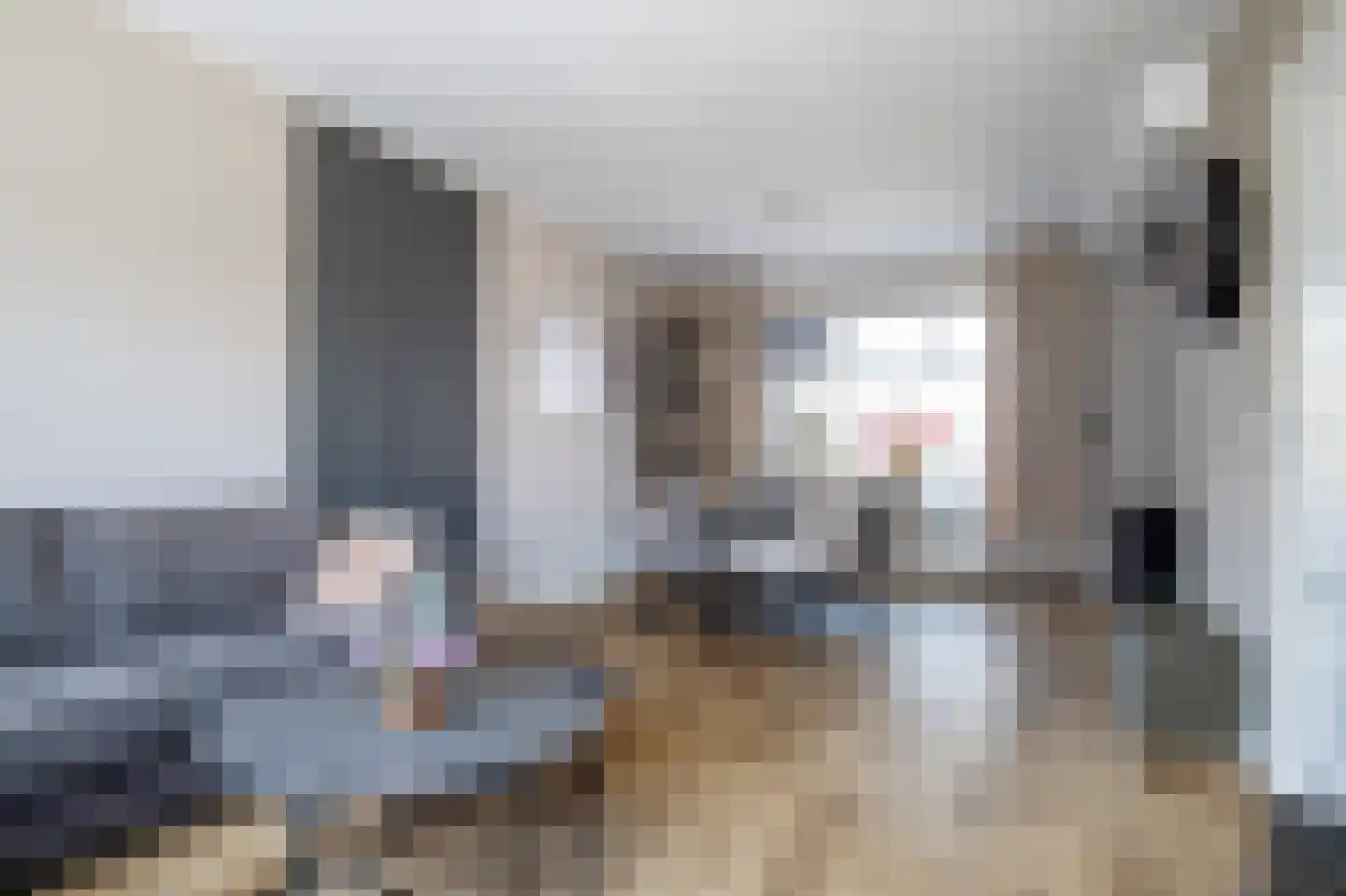Dorus Rijkersstraat 41 Genemuiden thumbnail 12