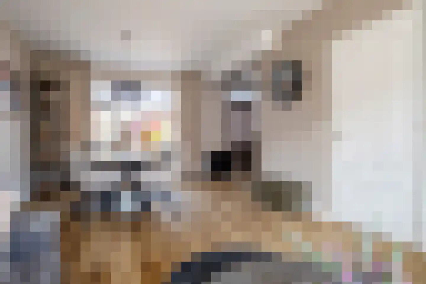 Dorus Rijkersstraat 41 Genemuiden thumbnail 13