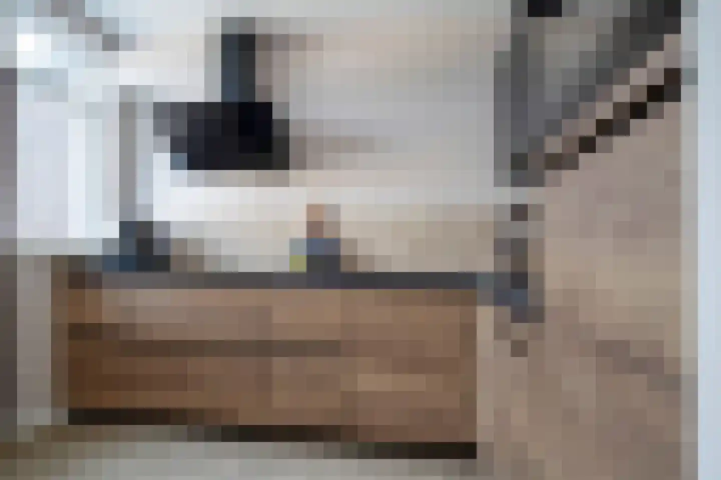 Dorus Rijkersstraat 41 Genemuiden thumbnail 17