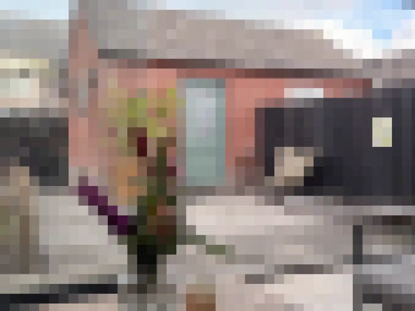 Dorus Rijkersstraat 41 Genemuiden thumbnail 21
