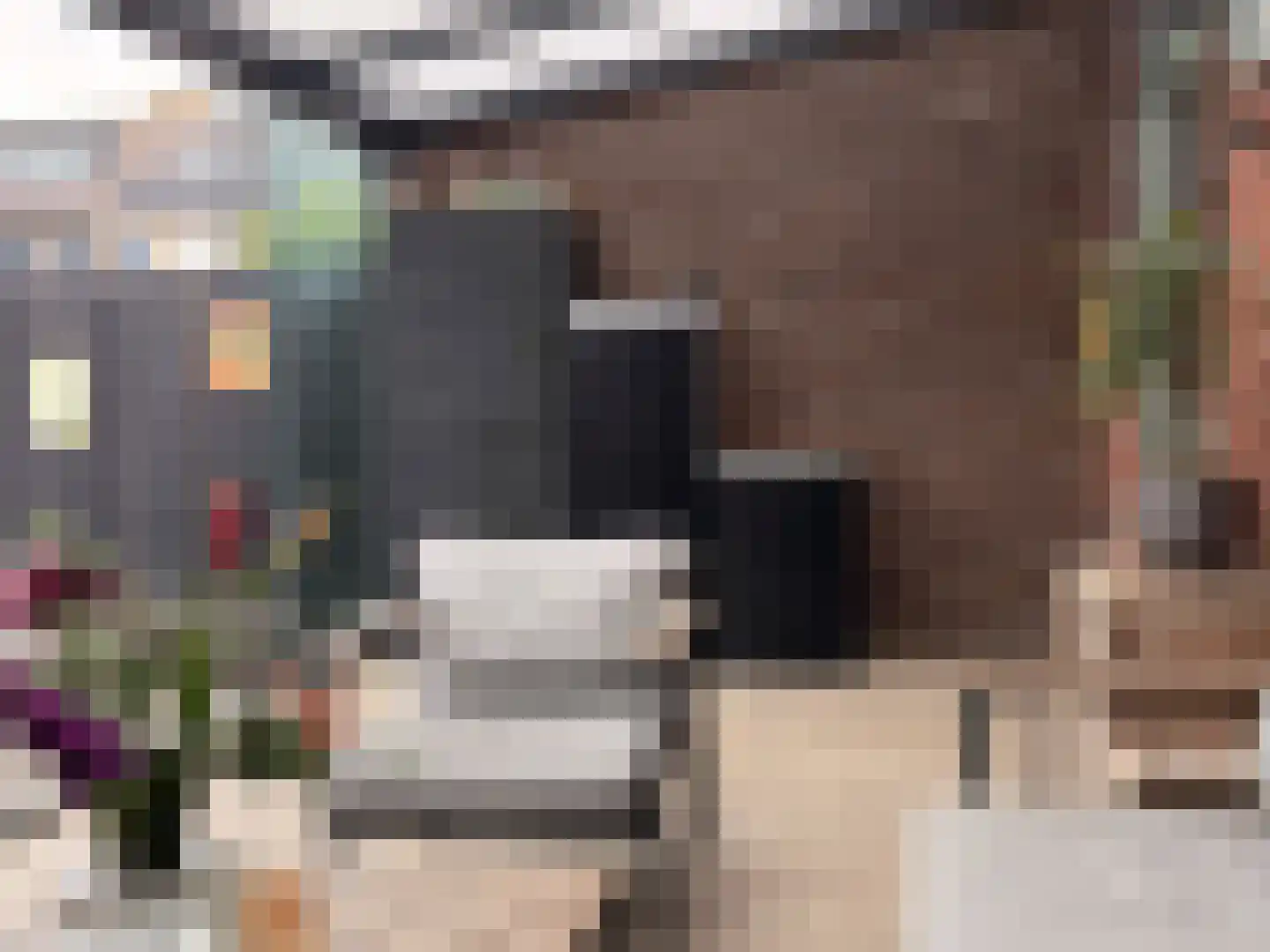 Dorus Rijkersstraat 41 Genemuiden thumbnail 22
