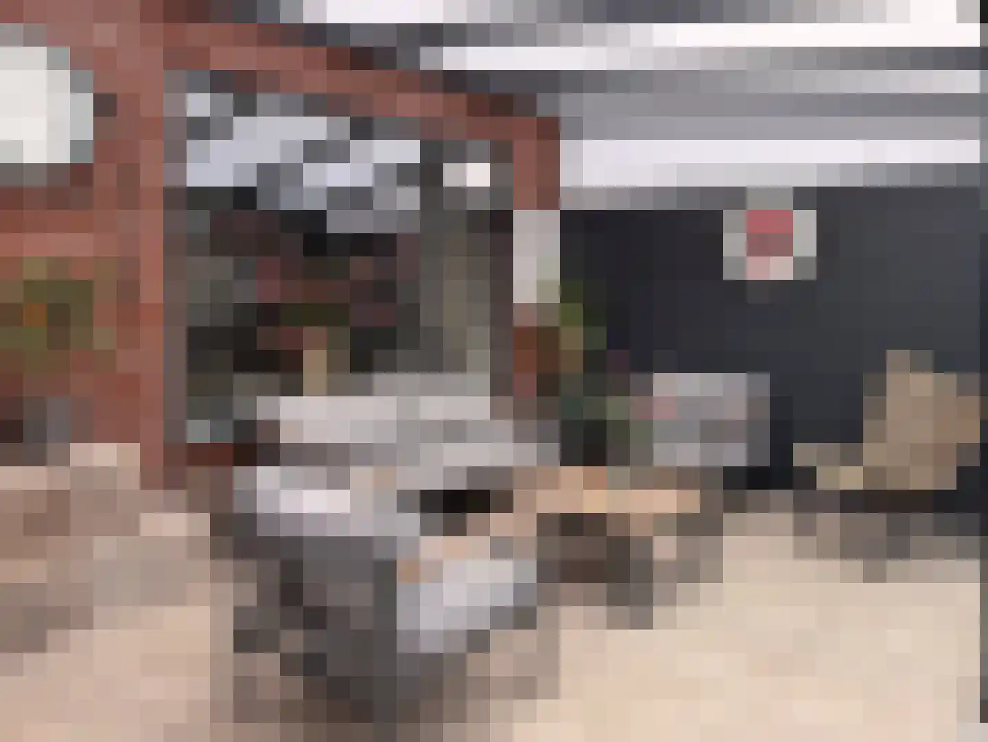 Dorus Rijkersstraat 41 Genemuiden thumbnail 26