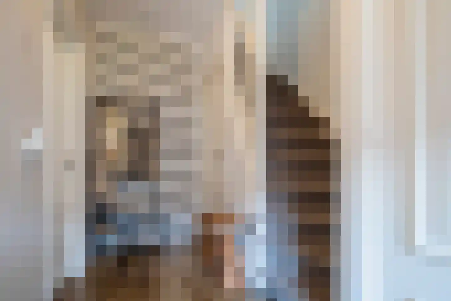 Dorus Rijkersstraat 41 Genemuiden thumbnail 27