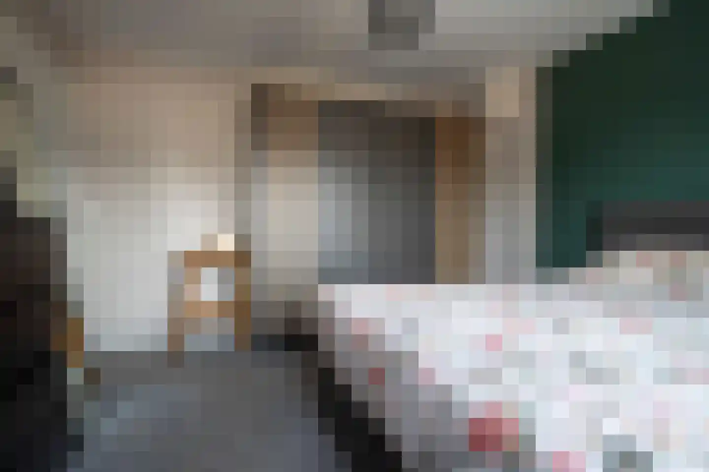 Dorus Rijkersstraat 41 Genemuiden thumbnail 29