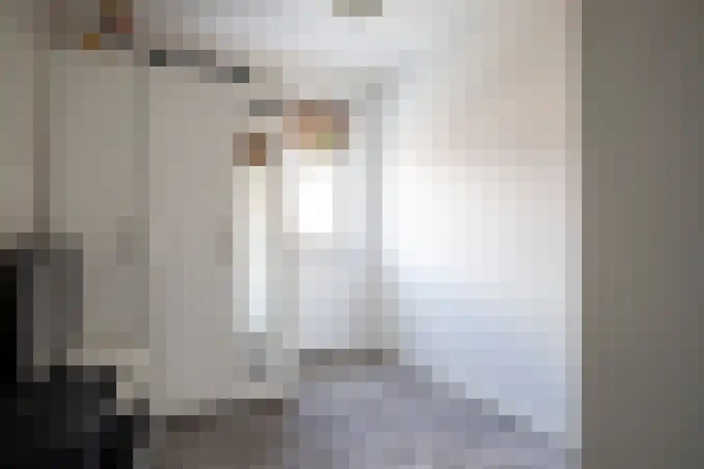 Dorus Rijkersstraat 41 Genemuiden thumbnail 31