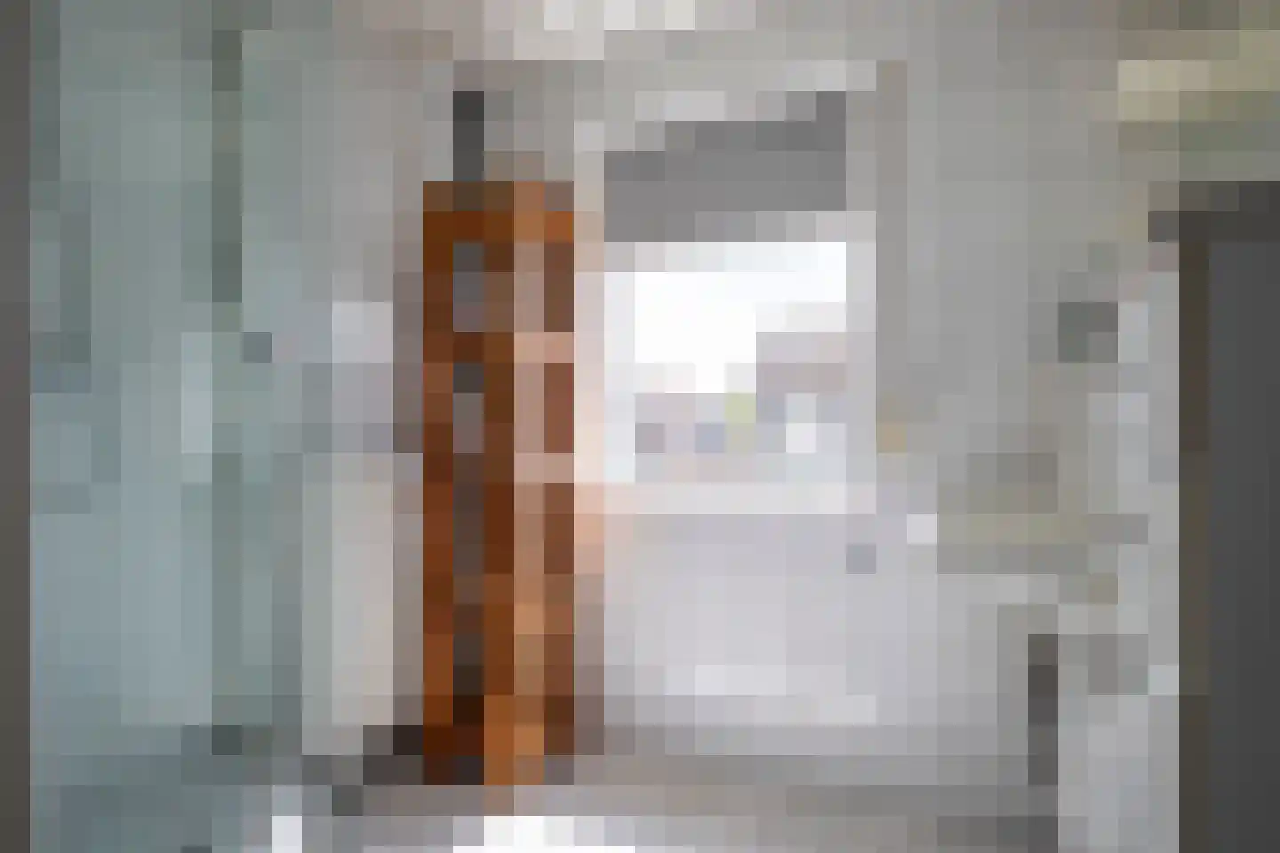 Dorus Rijkersstraat 41 Genemuiden thumbnail 32