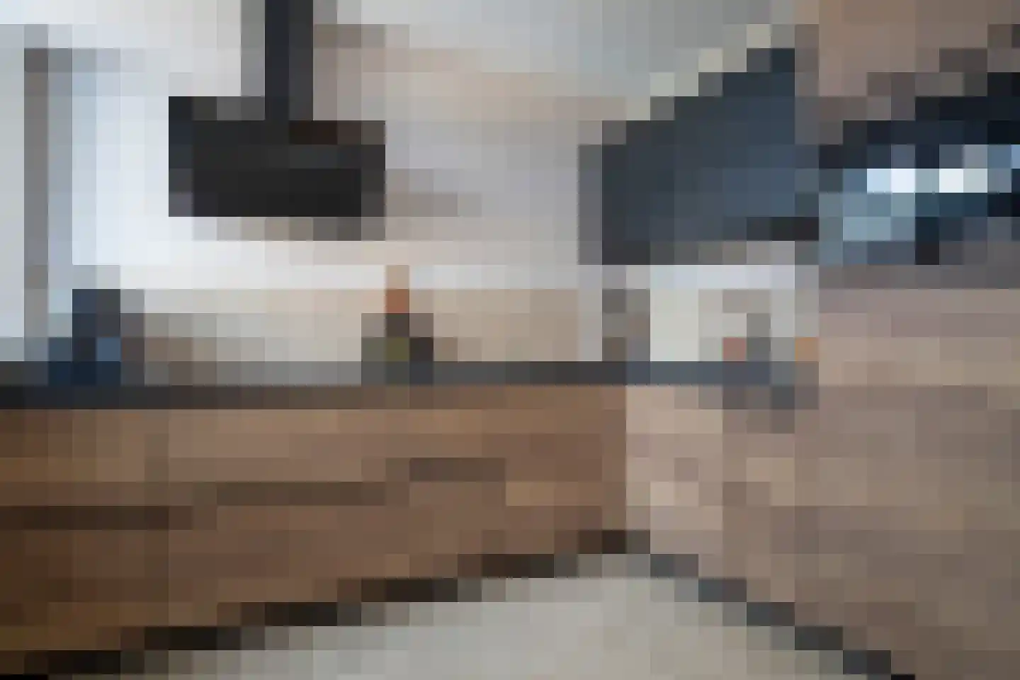Dorus Rijkersstraat 41 Genemuiden thumbnail 4