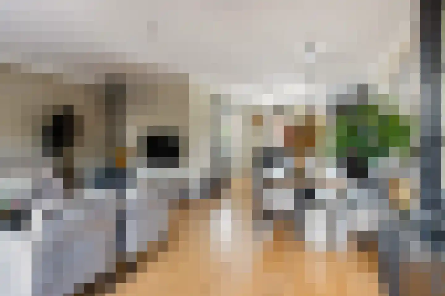 Dorus Rijkersstraat 41 Reeuwijk thumbnail 18
