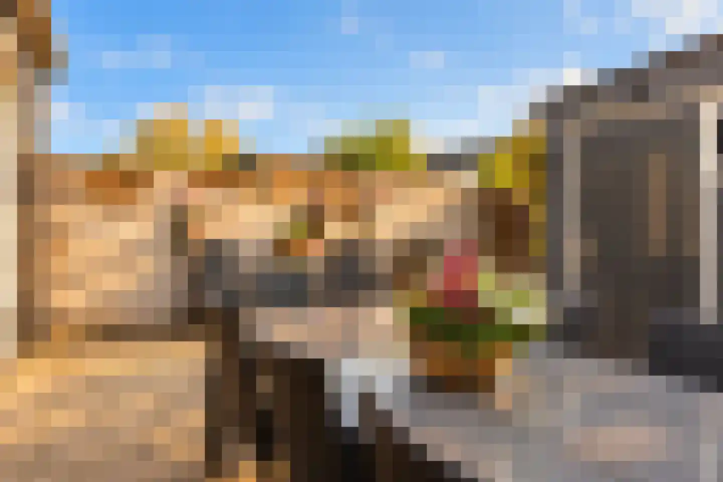 Dorus Rijkersstraat 41 Reeuwijk thumbnail 48